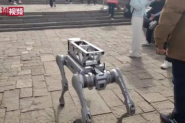 Chó robot được dùng để chuyển hàng và rác ở Trung Quốc