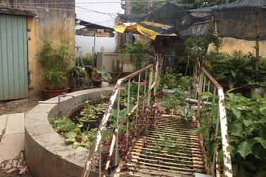 Phát hiện xác người phân hủy trong hồ nước bệnh viện Trưng Vương