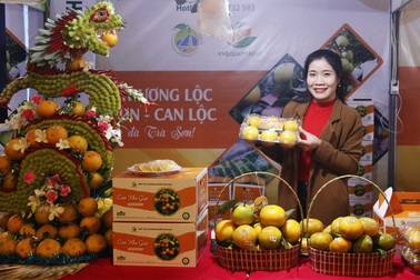 Hà Tĩnh: Nhiều sản vật "4 sao" hội tụ tại Lễ hội cam
