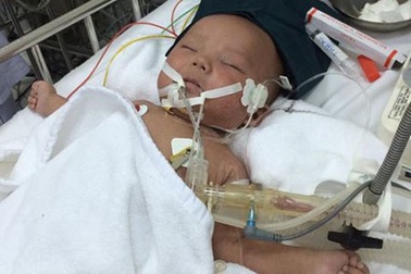 Bổ sung 80 tỉ đồng cho phòng chống dịch bệnh