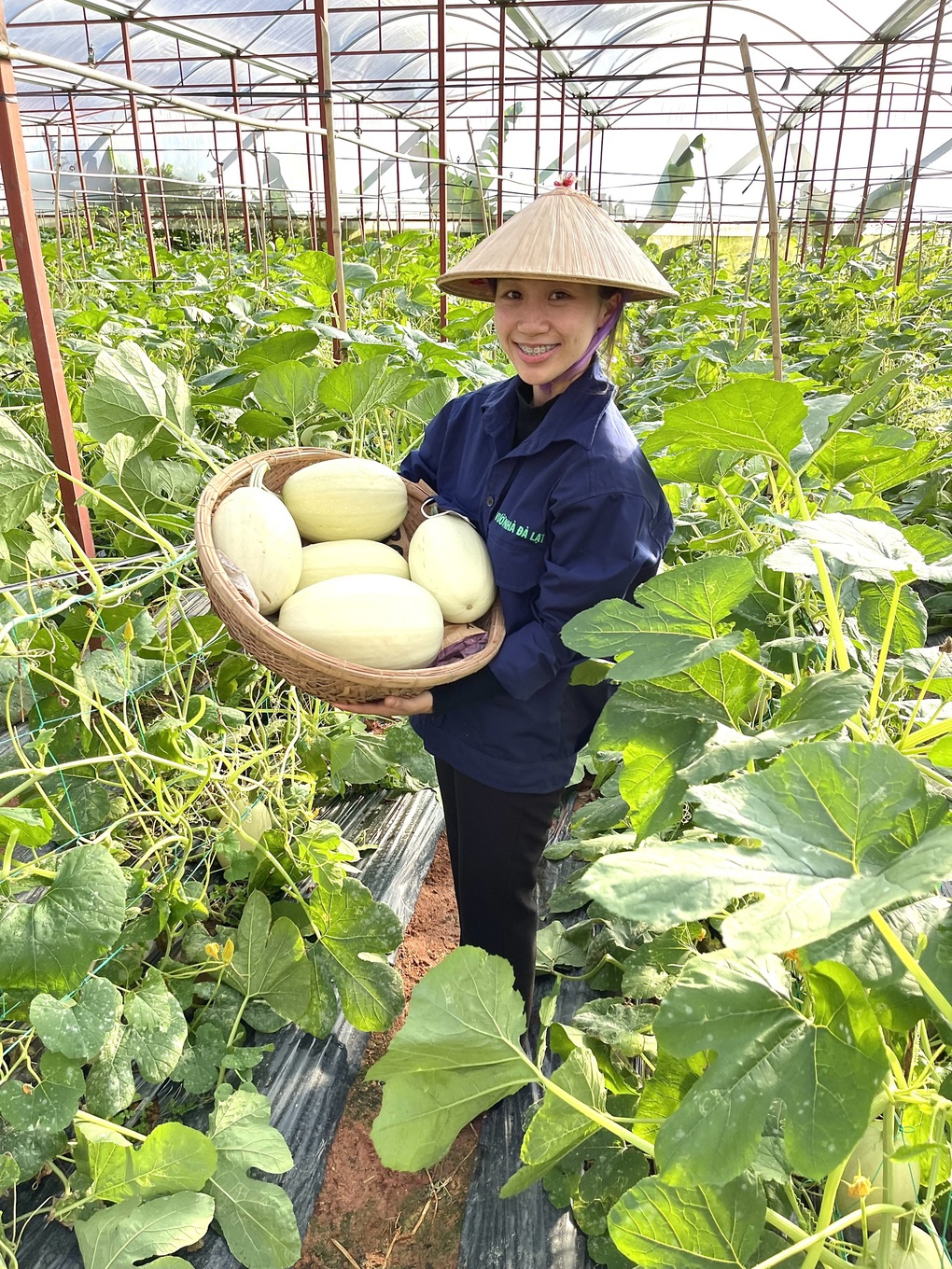 Chốt gần 1.000 đơn trong 15 phút nhờ bán trái lạ Đà Lạt - 4 Chốt gần 1.000 đơn trong 15 phút nhờ bán trái lạ Đà Lạt - 4