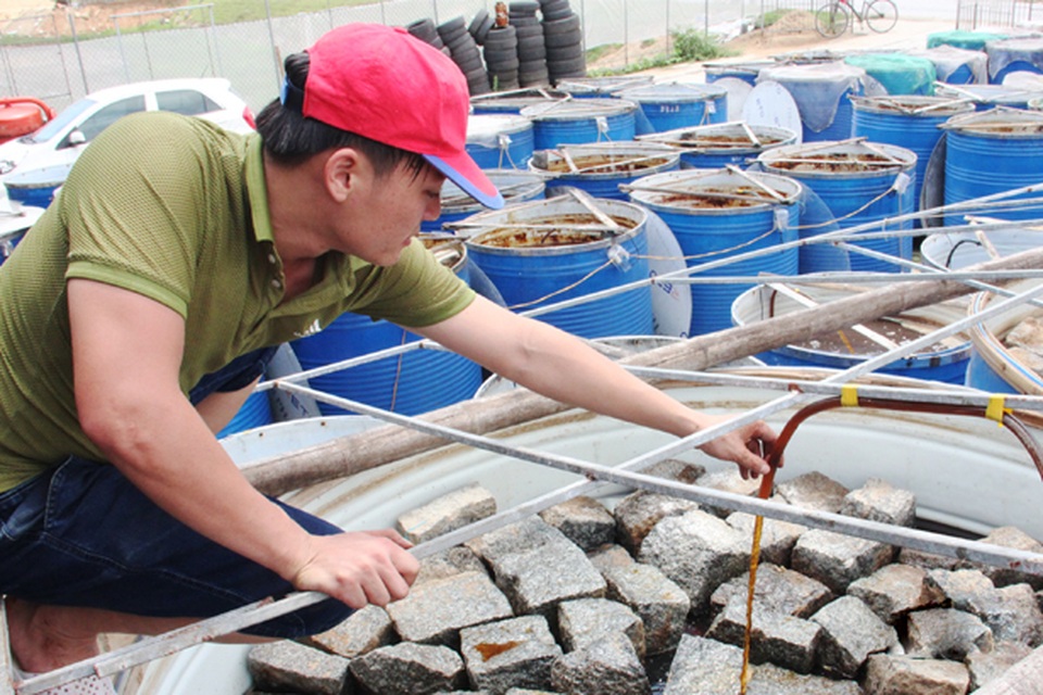 Hà Tĩnh: Loại bỏ gần 400 hợp tác xã hoạt động lay lắt - 1 Hà Tĩnh: Loại bỏ gần 400 hợp tác xã hoạt động lay lắt - 1
