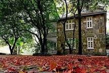 Người đàn ông biến "ngôi nhà ma ám" bỏ hoang thành dinh thự như tranh vẽ