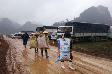 Trâu, bò không thả rông, người dân “giữ ý” cho phim trường King Kong 2