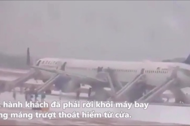 Hành khách hoảng loạn bỏ chạy khỏi máy bay gặp sự cố trên đường băng