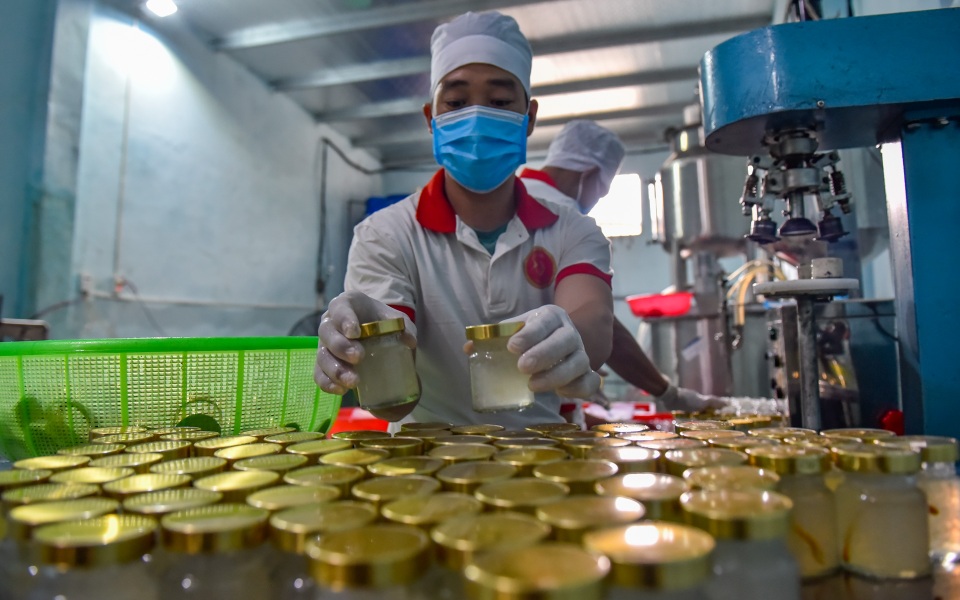 Kiếm hàng trăm triệu đồng từ nghề nuôi loài chim phương Nam - 4 Kiếm hàng trăm triệu đồng từ nghề nuôi loài chim phương Nam - 4