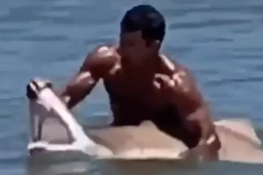 Người đàn ông dùng tay không móc hàm cá mập