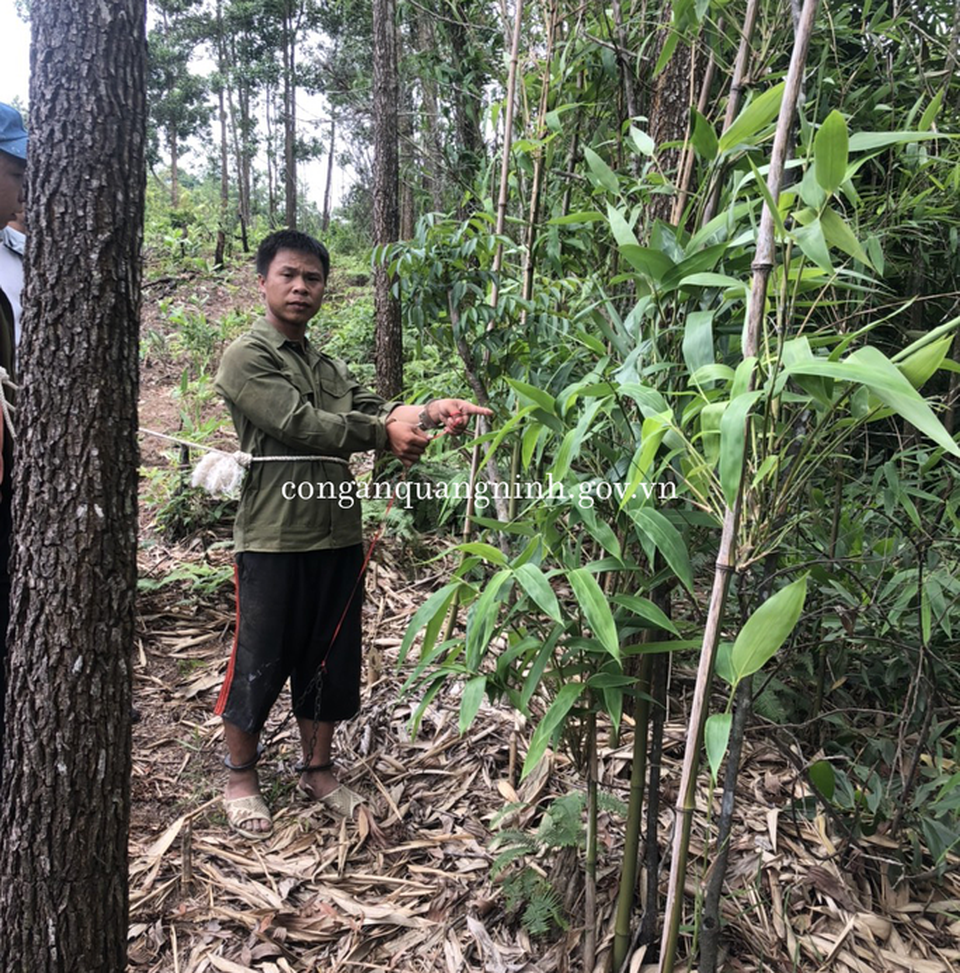 Lạc lối bên tình trẻ, người vợ cùng tình nhân sát hại chồng dã man - 2 Lạc lối bên tình trẻ, người vợ cùng tình nhân sát hại chồng dã man - 2