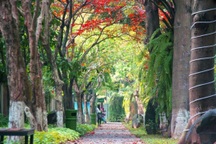 Khu đô thị nói không với những cung đường, vỉa hè bê tông