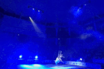 Thanh Hoa - Hiển Phước bất ngờ khi đoạt giải cao nhất cuộc thi xiếc quốc tế