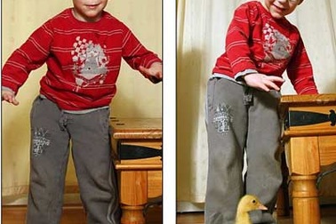 Đi lại được nhờ… vịt