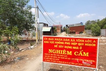 Hàng trăm hecta đất cấm bị "xẻ thịt": lại "điệp khúc"phê bình, rút kinh nghiệm (?!)