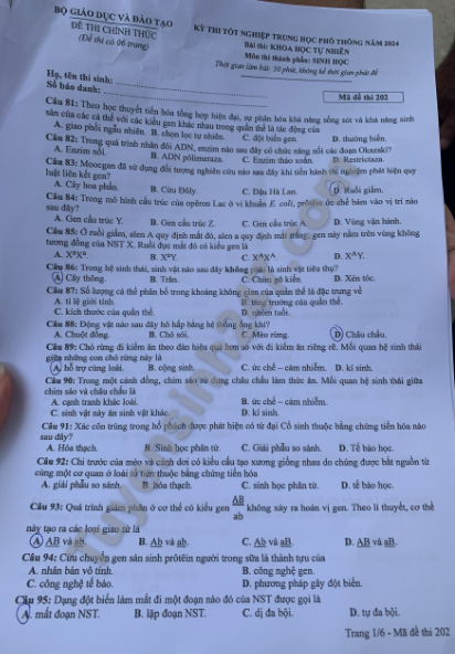 Προτεινόμενο κλειδί απαντήσεων για το μάθημα βιολογίας με κωδικό 202, εξετάσεις αποφοίτησης 2024 - 3 Đáp án gợi ý mã đề 202 môn sinh học thi tốt nghiệp năm 2024 - 3