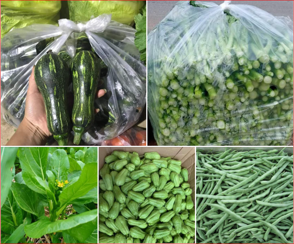 Bỏ việc về bán hàng online, mẹ bỉm sữa tậu 2 mảnh đất Hà Nội sau 5 năm - 1 Bỏ việc về bán hàng online, mẹ bỉm sữa tậu 2 mảnh đất Hà Nội sau 5 năm - 1