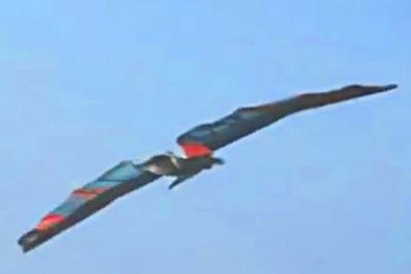 Siêu nhân bay như chim bằng đôi cánh tự chế