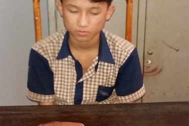 Bắt tên trộm “nhí” xuyên tỉnh thành