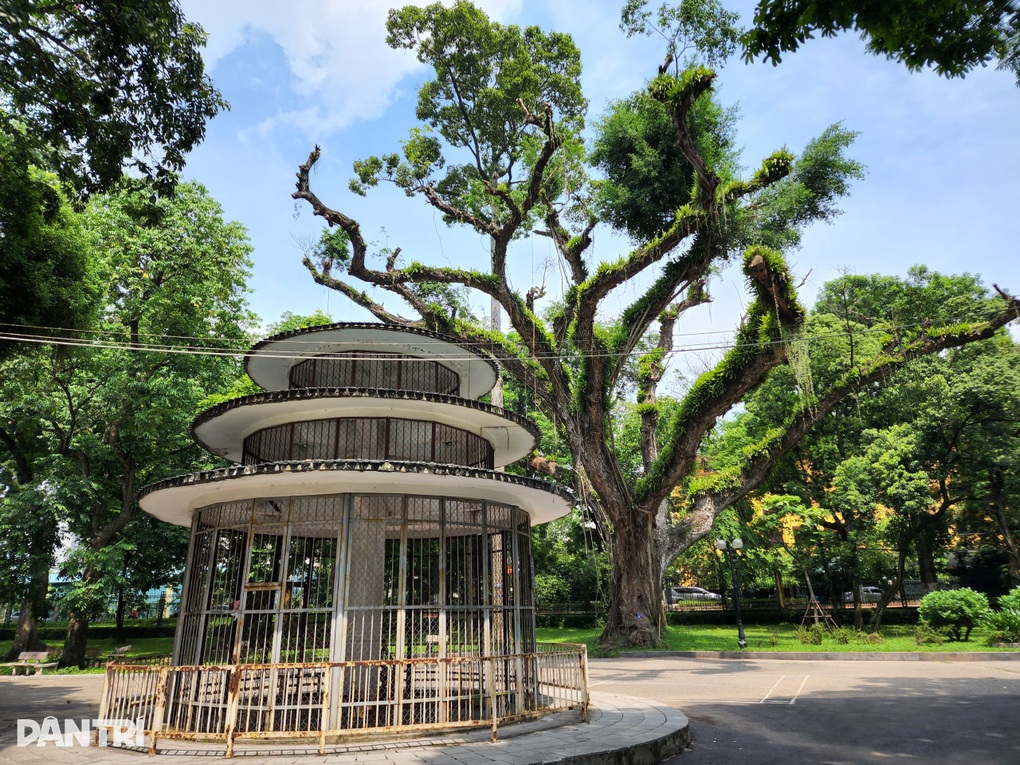 Hà Nội: Hiện trạng 3 công viên sắp được ưu tiên nâng cấp, cải tạo ra sao? - 6 Hà Nội: Hiện trạng 3 công viên sắp được ưu tiên nâng cấp, cải tạo ra sao? - 6