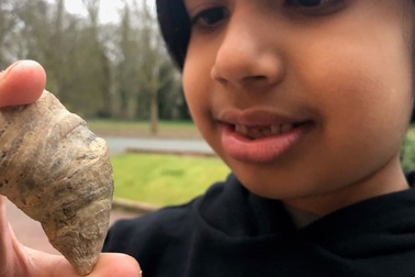 Cậu bé 6 tuổi bất ngờ tìm thấy loại san hô thời đại Cổ sinh