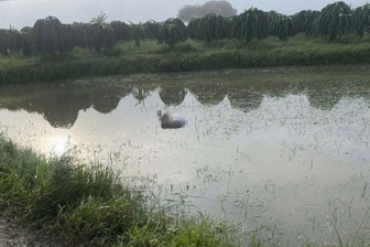 Thi thể người đàn ông trên ruộng ngập nước ở Lâm Đồng