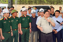 Rừng "cản bước" cao tốc Bắc - Nam qua tỉnh Bình Định