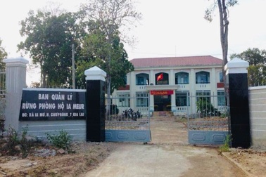 Tổng Cục lâm nghiệp vào cuộc vụ nhân viên bảo vệ rừng bị hành hung, đe dọa