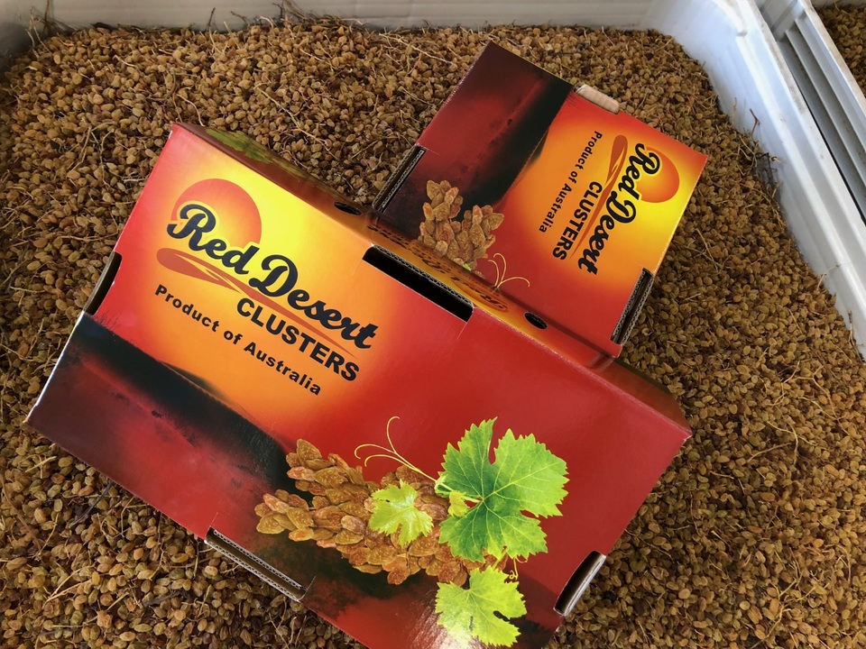 Loạn giá và chất lượng nho khô nguyên cành nhập Úc - 1