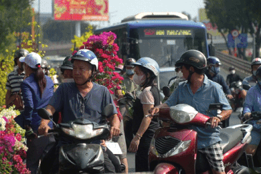 Người dân TPHCM đổ xô mua hoa đại hạ giá ngày 30 Tết