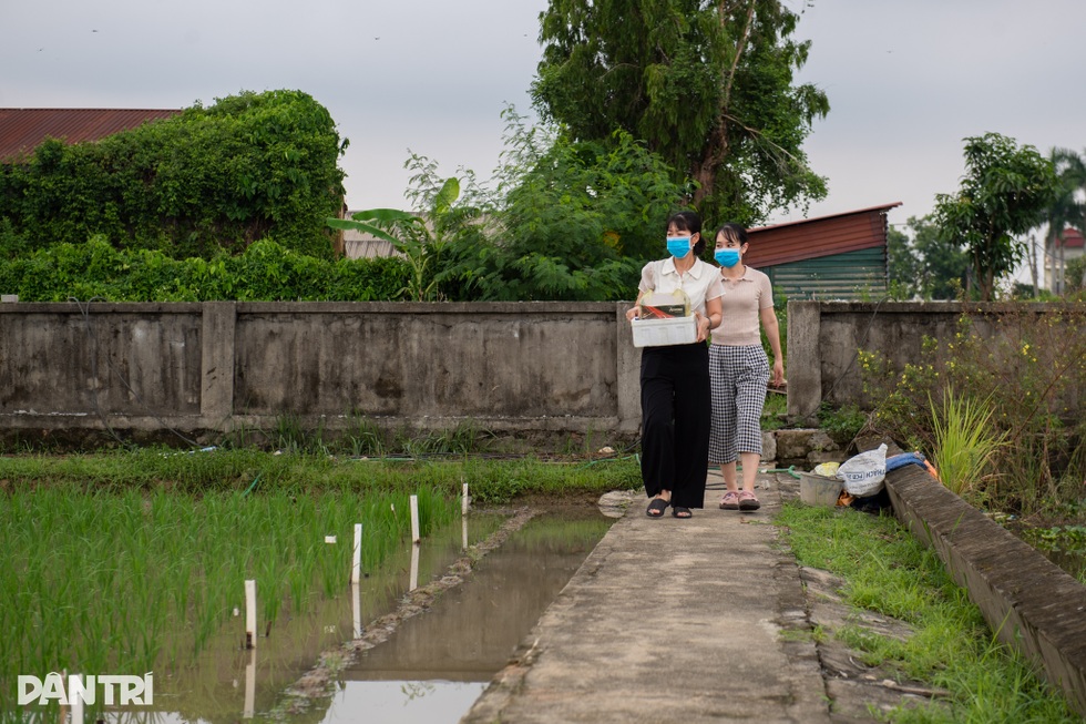 Giải mã gen tìm tầm vóc của cây lúa Việt trong kỷ nguyên mới - 4 Giải mã gen tìm tầm vóc của cây lúa Việt trong kỷ nguyên mới - 4