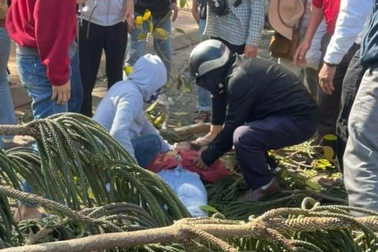 Vụ cô gái bán hoa dịp valentine bị cây đổ đè trúng: Nạn nhân đã tử vong