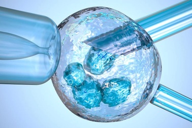 Triển khai kỹ thuật PGT-M trong sàng lọc phôi tiền làm tổ các bệnh hiếm