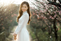 Đào nở chậm do rét đậm, người buôn tự tin hô giá "không mặc cả"