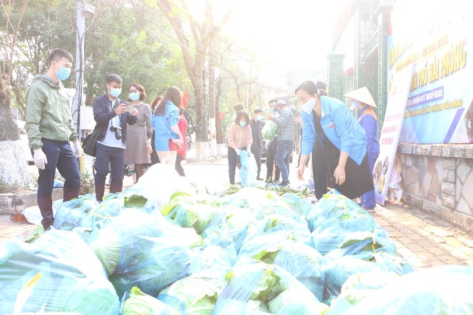Hải Phòng: Đoàn viên, thanh niên giải cứu nông sản ứ đọng do Covid-19 - 3 Hải Phòng: Đoàn viên, thanh niên giải cứu nông sản ứ đọng do Covid-19 - 3