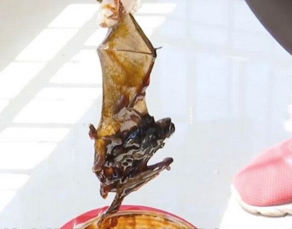 Phát hiện điều hãi hùng trong lọ dầu hào dùng suốt 3 tháng - 2 Phát hiện điều hãi hùng trong lọ dầu hào dùng suốt 3 tháng - 2