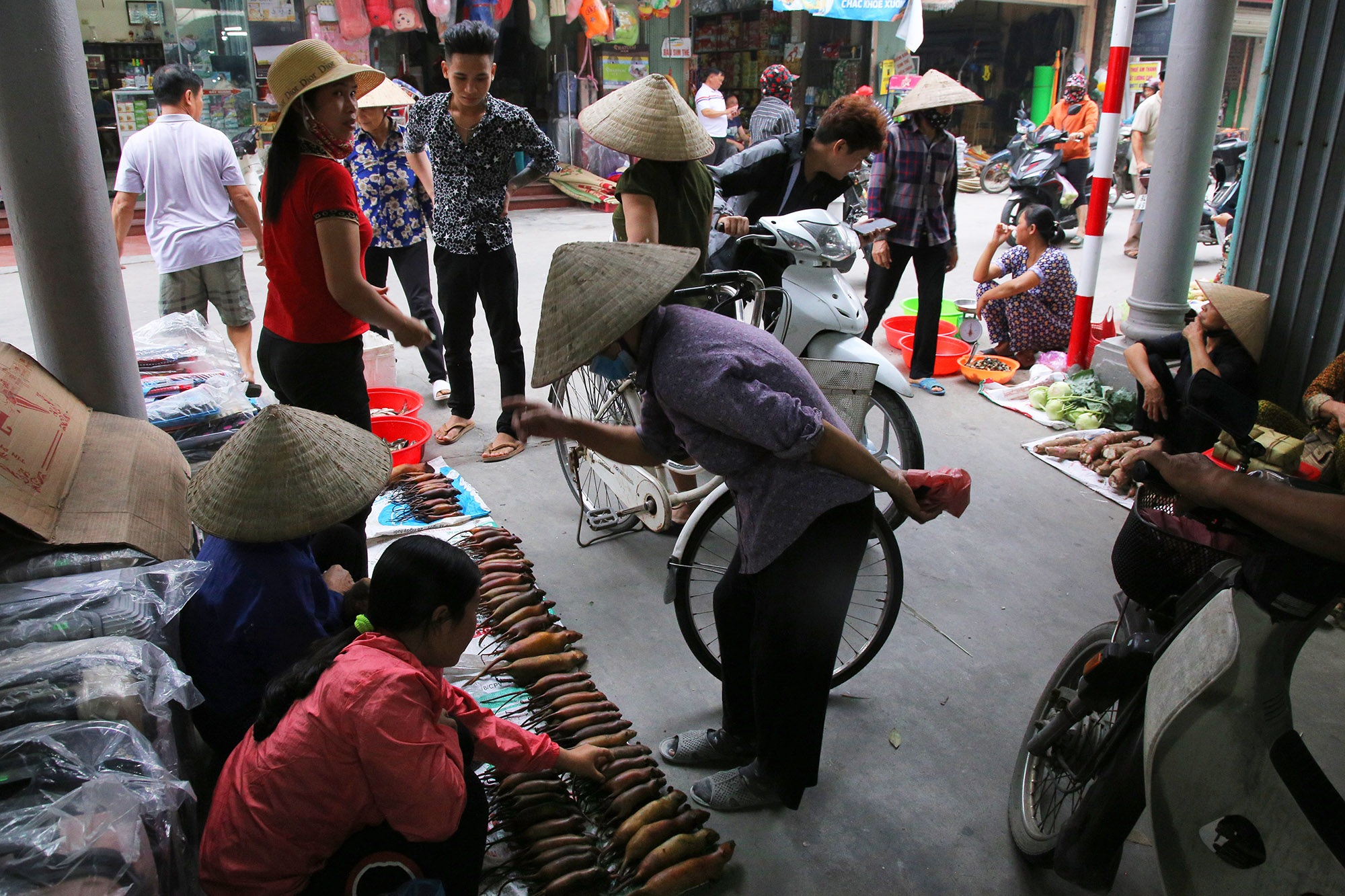 Món thịt chuột đặc sản của người làng Giống - 1 Món thịt chuột đặc sản của người làng Giống - 1