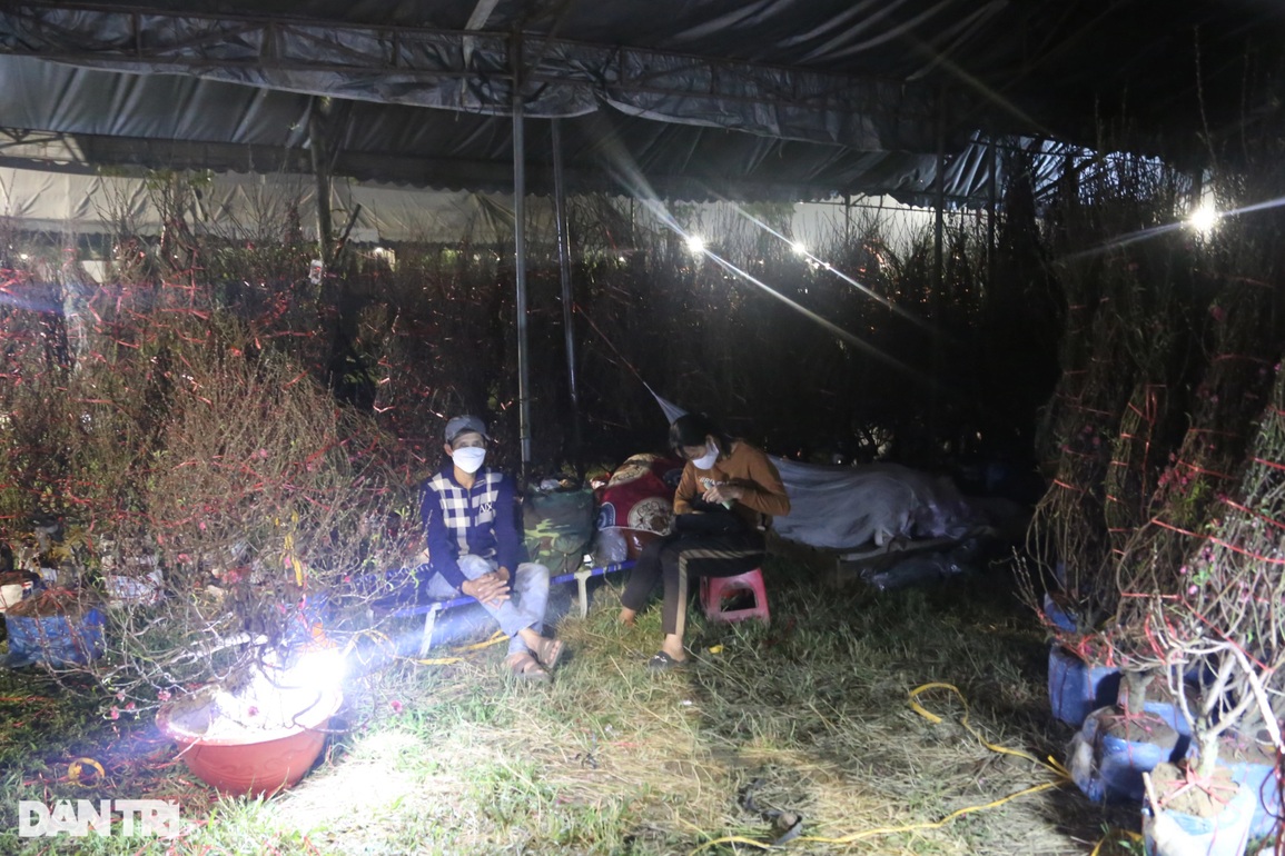 Người dân chạy đua với thời gian, thức thâu đêm canh hoa Tết - 3 Người dân chạy đua với thời gian, thức thâu đêm canh hoa Tết - 3