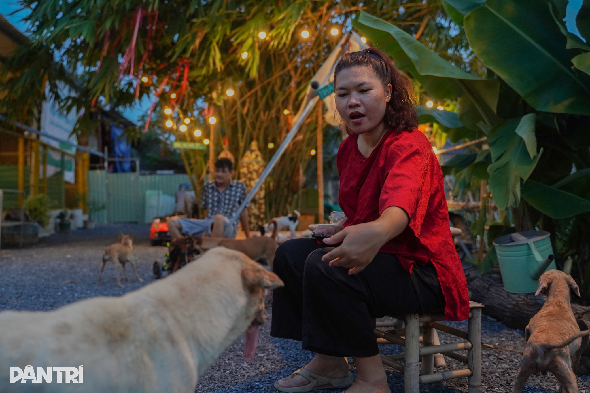 Bên cạnh đó, chị Ngân còn thường xuyên tham gia các hoạt động thiện nguyện cùng chị Vân, chủ một nhà hàng chay tại quận 1. Kể về lần gặp gỡ chị Ngân, chị Vân cho rằng đó là cái duyên. "Mình nhớ như in ngày cứu một bé chó và sau đó có duyên gặp Ngân, được theo chị về "Nhà Xanh". Lúc đó cảm xúc thực sự dâng trào. Nuôi một hai bé đã là thử thách, còn ở đây, Ngân đang chăm sóc hàng chục, thậm chí gần cả trăm bé chó cơ nhỡ. Mình thực sự ngưỡng mộ", chị Vân nói. Chị Ngân cho biết, dẫu có khó khăn đến mấy, cũng chưa bao giờ chị có ý định bỏ cuộc. Chỉ cần còn một bé cần sự giúp đỡ, thì khi ấy vẫn sẽ còn "Nhà Xanh".