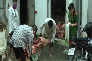 Bắt giữ 5 tấn lợn chết tím tái, bốc mùi hôi thối