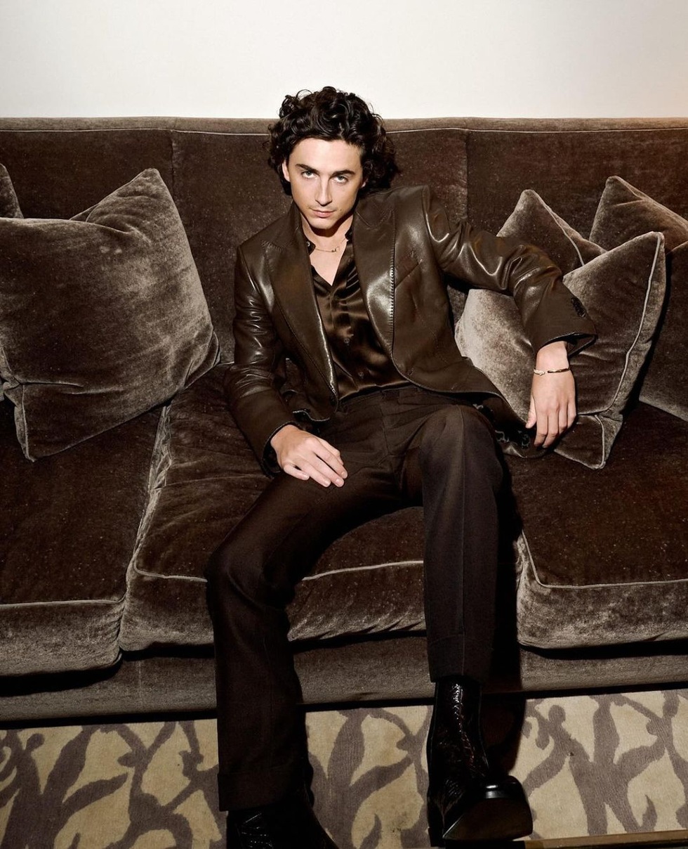 Timothée Chalamet đẹp trai nhất thế giới: Vẻ đẹp chàng thơ lên ngôi - 12