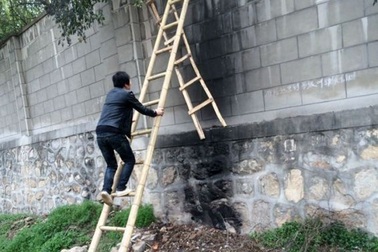 Du khách liều mình bắc thang leo vào vườn thú để trốn tiền vé