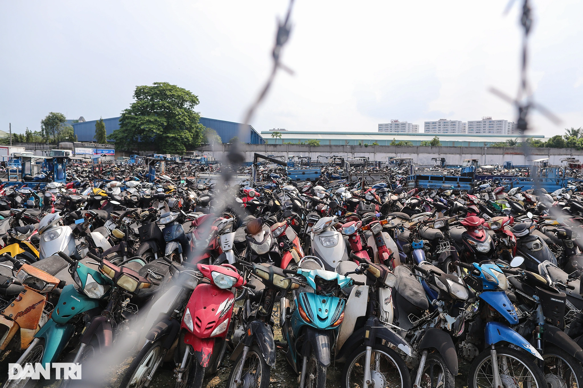 Xe vi phạm giao thông chất thành núi trong các kho tang vật ở TPHCM - 3 Xe vi phạm giao thông chất thành núi trong các kho tang vật ở TPHCM - 3