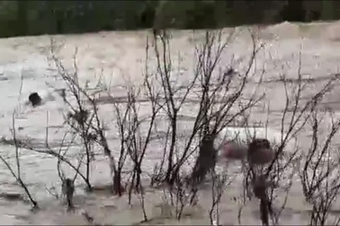 Clip học sinh chui trong túi nilon để được đưa qua suối mùa lũ