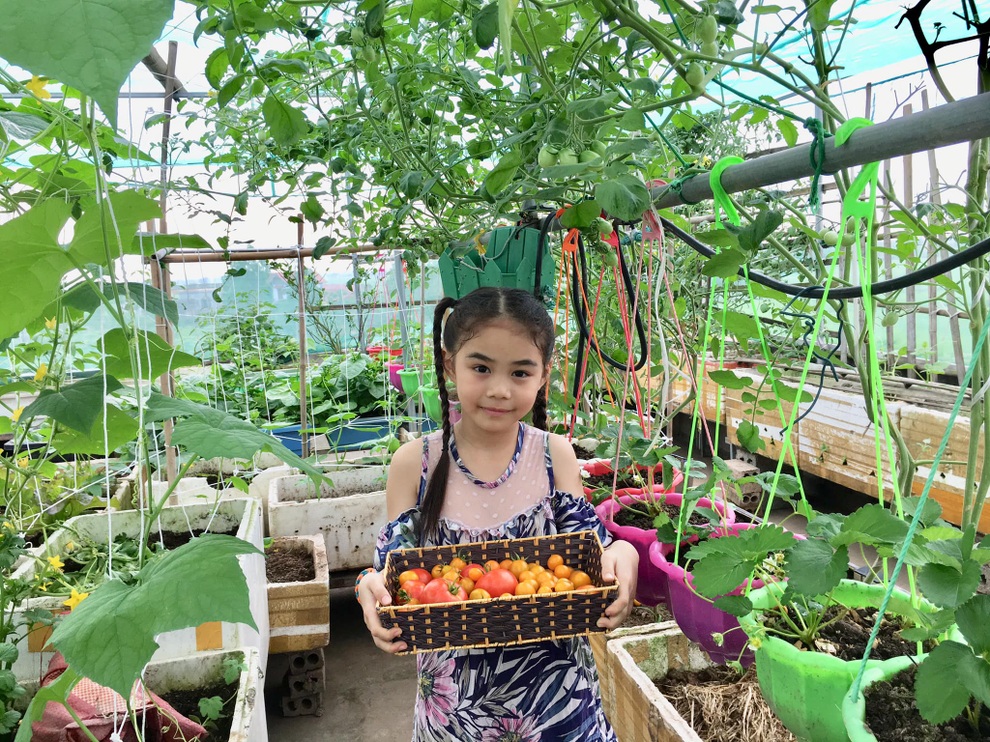 Vườn nông sản chẳng thiếu gì, thu cả tạ dưa trên sân thượng ở Thái Bình - 14