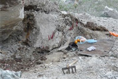 Nghệ An: Bắt tạm giam chủ mỏ Lèn Nậy