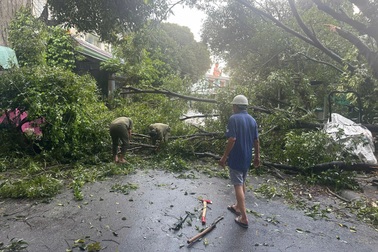 Mưa lớn gây ngã đổ 62 cây xanh, 2 người bị thương tại một phường ở TPHCM