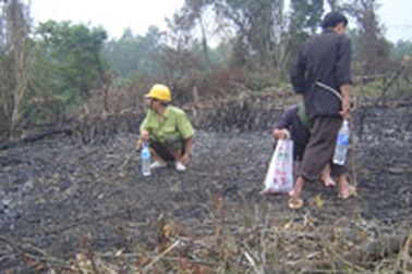 Phá rừng theo kiểu “tiền trảm hậu tấu”