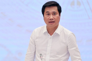 Thứ trưởng Xây dựng: "Dự án của Novaland, Hưng Thịnh đang được tháo gỡ"