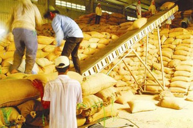 An ninh lương thực: Không thể “đùa”!