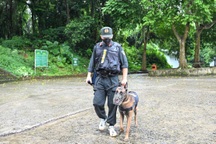 Huy động chó nghiệp vụ tìm du khách mất tích trong rừng Cúc Phương