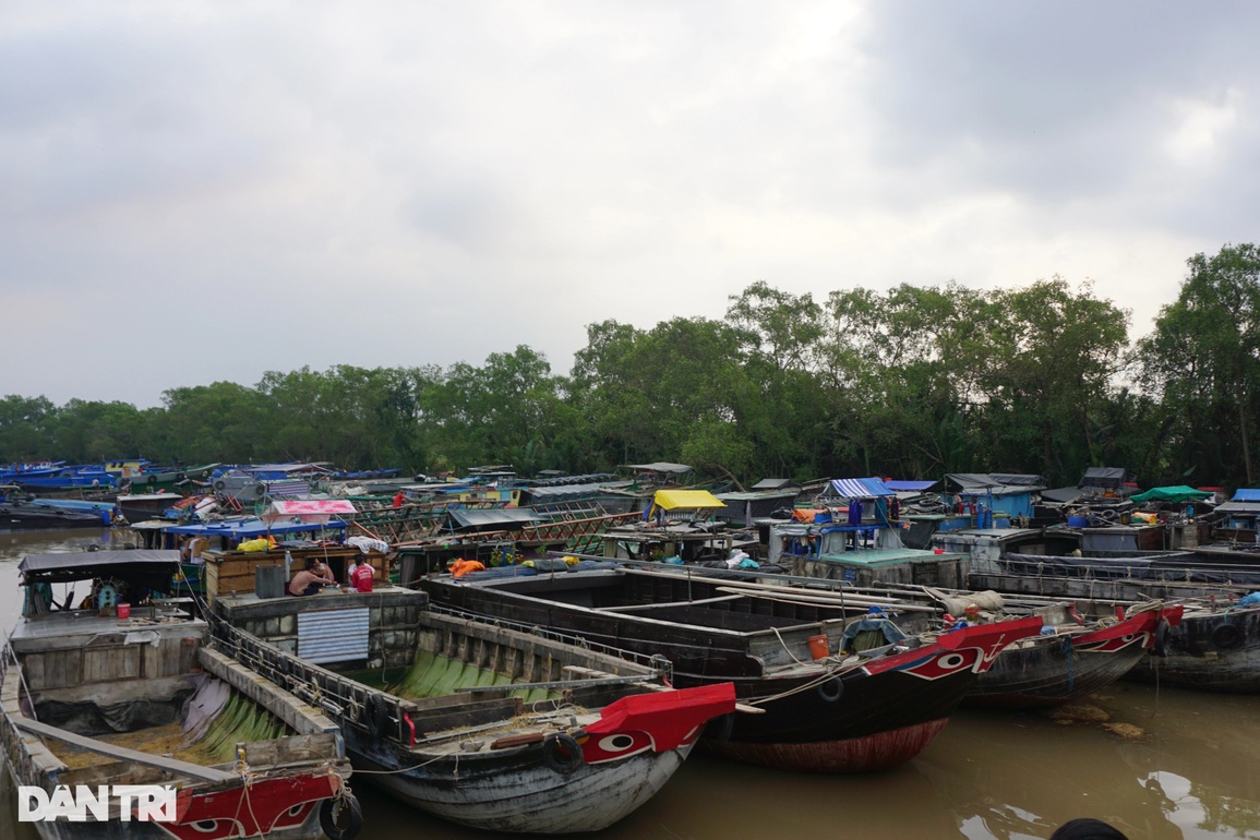 Chợ rơm lớn nhất miền Tây nhộn nhịp ngày áp tết - 6 Chợ rơm lớn nhất miền Tây nhộn nhịp ngày áp tết - 6