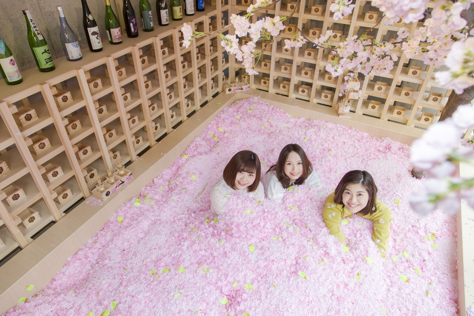 Ngâm mình trong 1,2 triệu cánh hoa sakura giữa lễ hội mùa xuân - 4 Ngâm mình trong 1,2 triệu cánh hoa sakura giữa lễ hội mùa xuân - 4